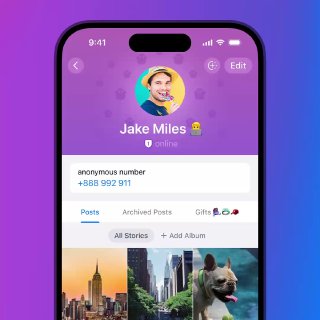 ألبومات القصص