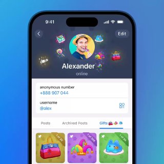 الهدايا المثبتة