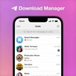 Download-Manager