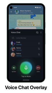 Voice Chat Widget.