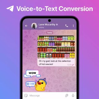 Transcribe Voice Messages.