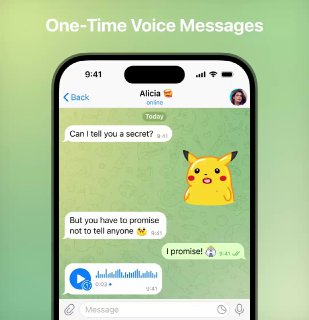 One-Time Voice and Video Messages.